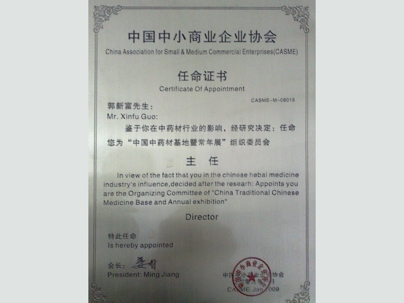2009中小商協(xié)任命證書(shū)